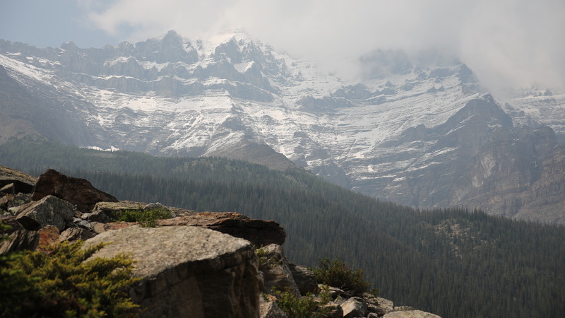 20230615010 resize