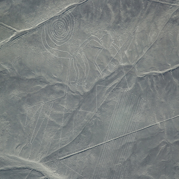 08007 resize