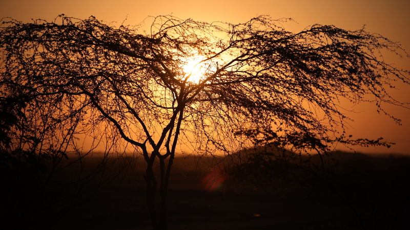 08014 resize