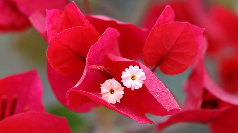 09011 resize