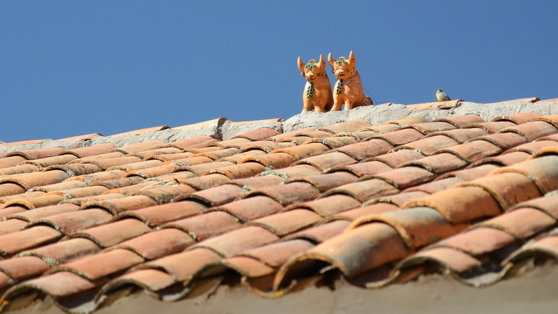 14001 resize