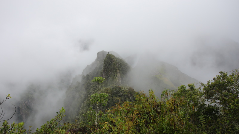 18008 resize