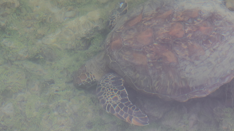 20040006 resize