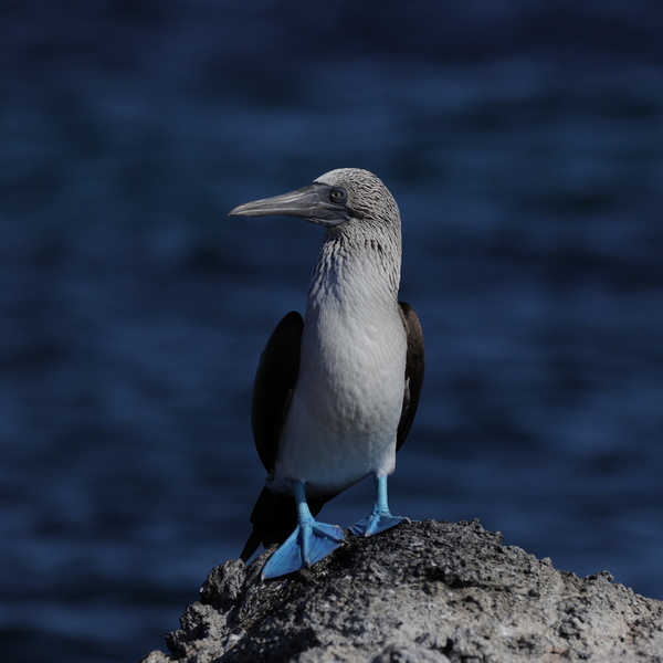 21040004 resize