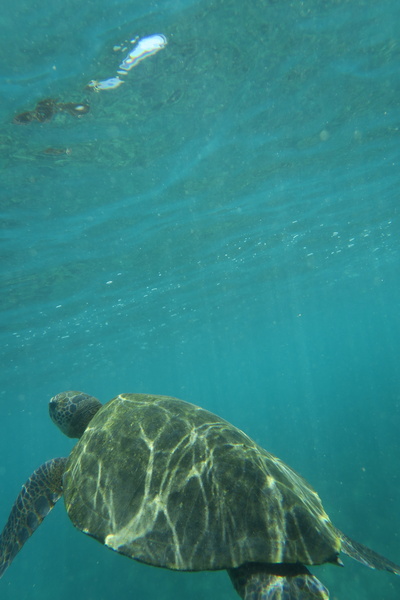 21040008 resize