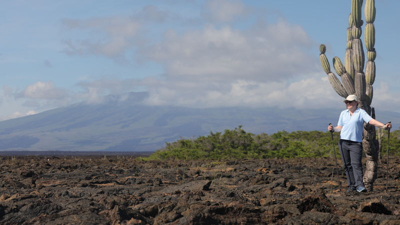 21040012 resize