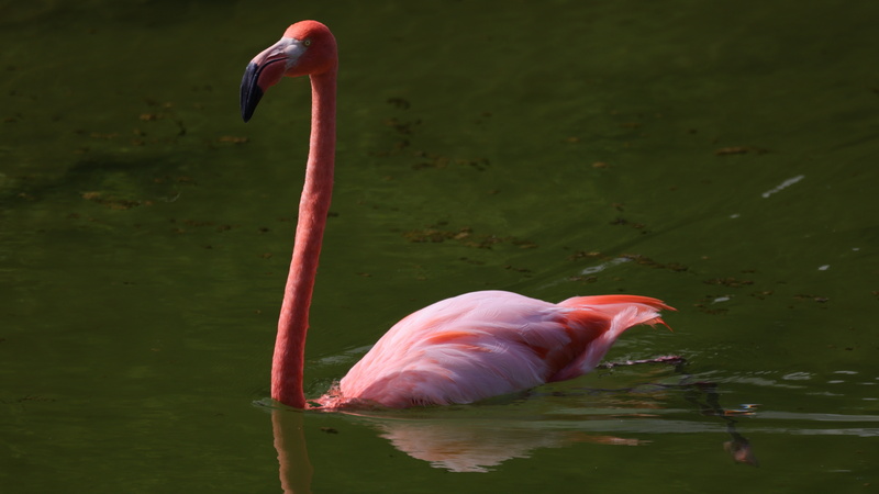 21040015 resize