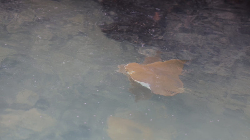 21040026 resize