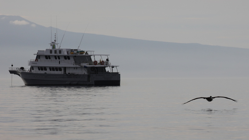 22040001 resize
