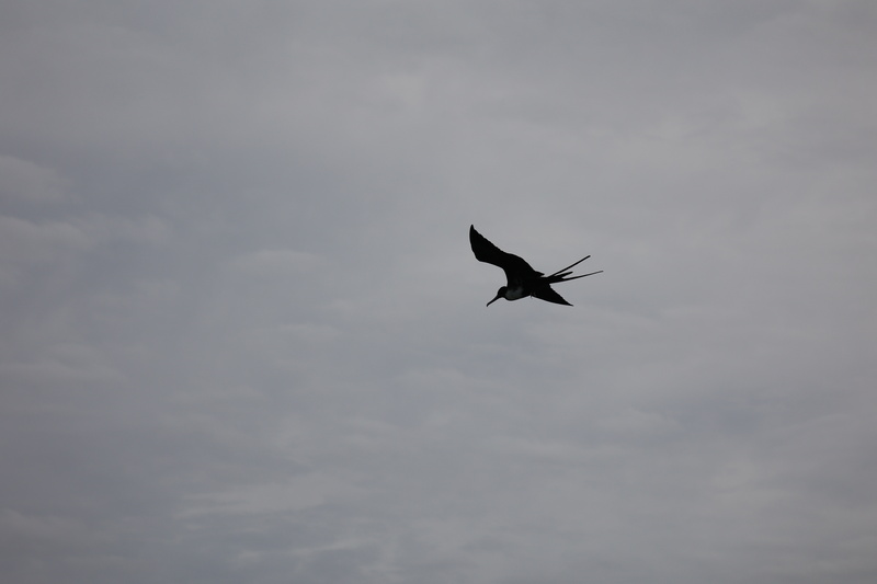 22040007 resize