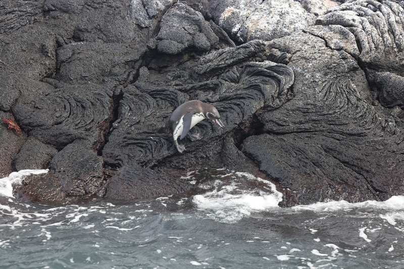 22040008 resize