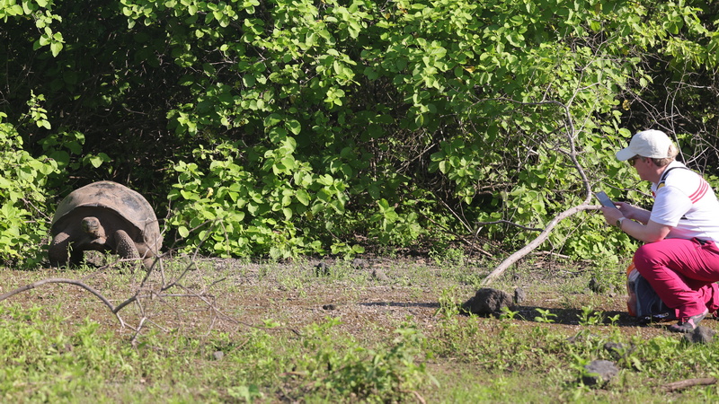 22040013 resize