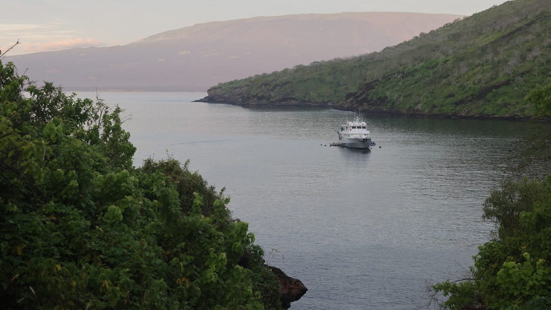 23040001 resize