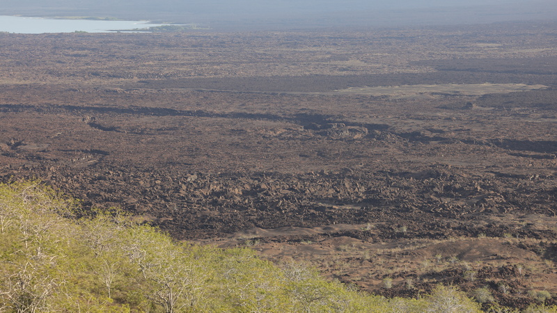 23040006 resize