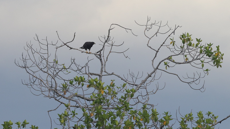 23040019 resize