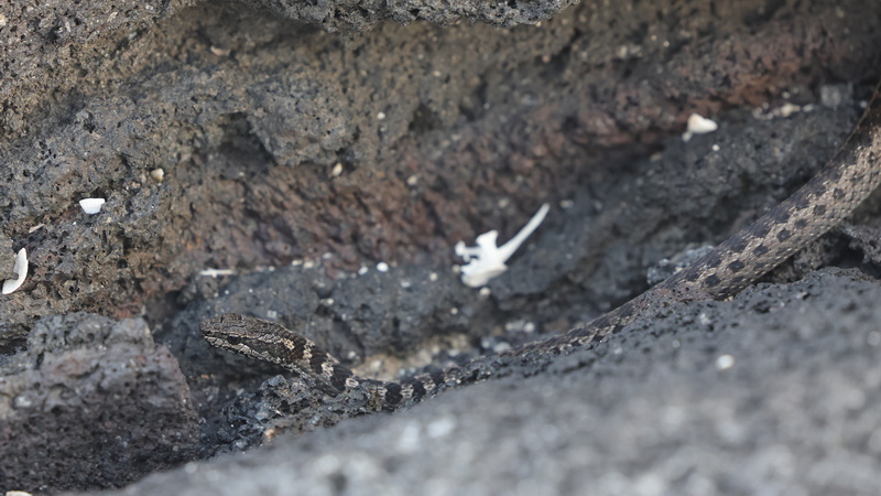 23040024 resize
