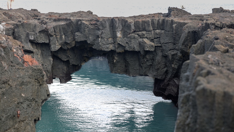 24040005 resize