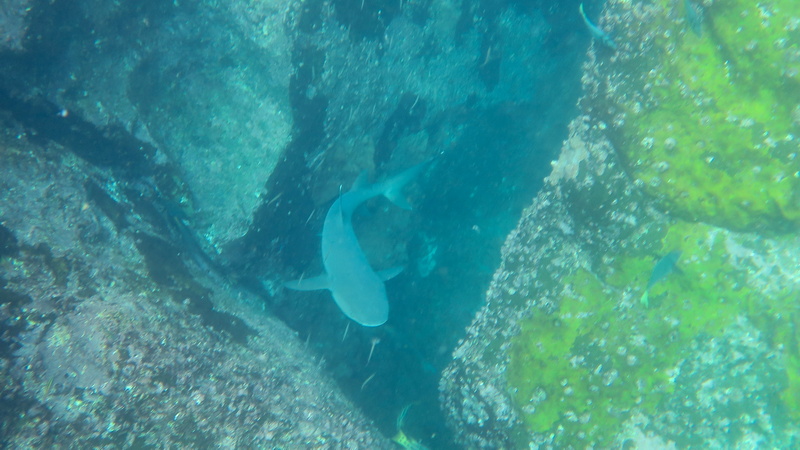 24040015 resize