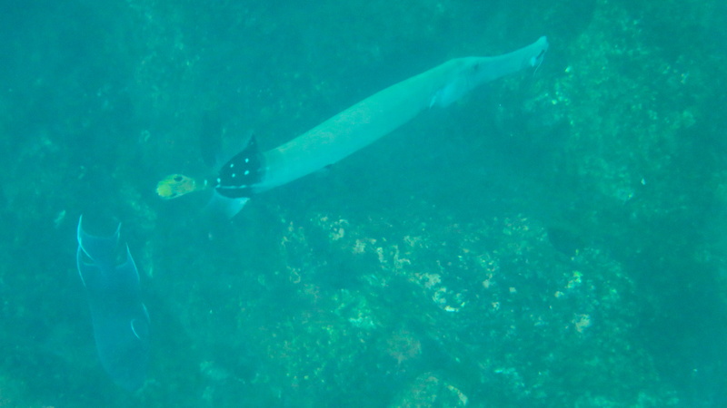25040004 resize