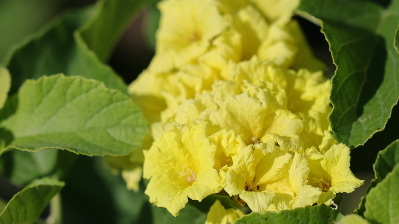 25040014 resize