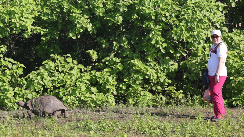 28040001 resize